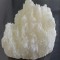 Dimethyltryptamine (DMT)